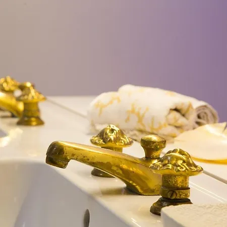 Les Du Midi Saint-Paul-dʼEspis