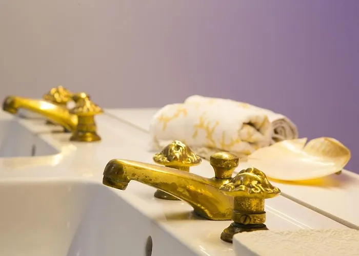 Les Du Midi Saint-Paul-dʼEspis